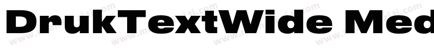 DrukTextWide Medium字体转换